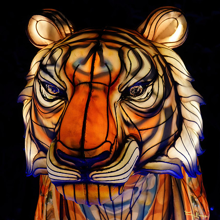 ouwehand_light_zoo_TH_0072