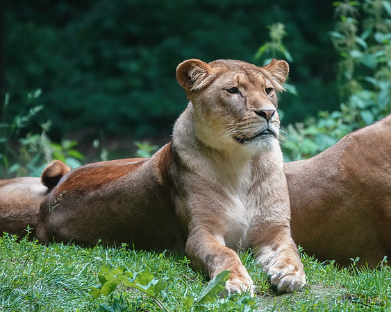 burgerszoo_TH_1213