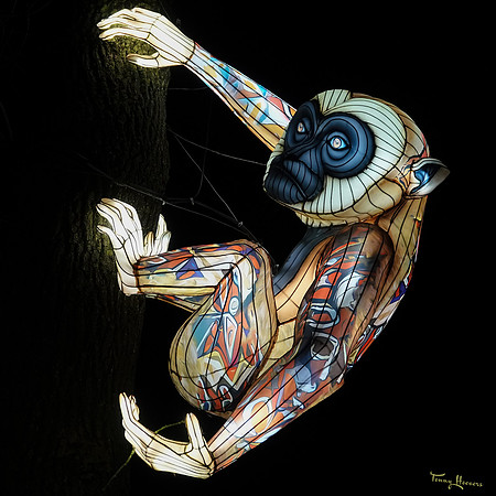 ouwehand_light_zoo_TH_0070