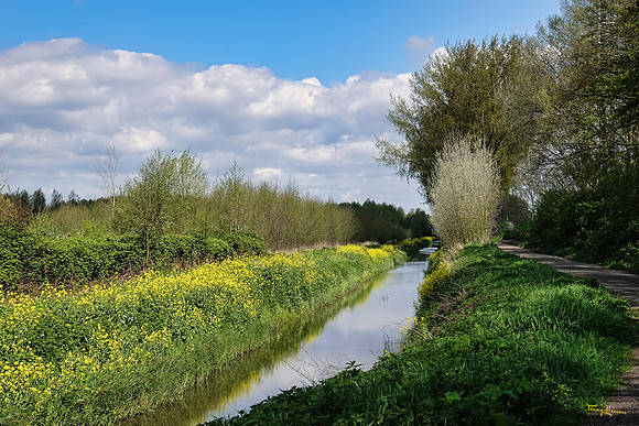lingezegen_TH_0598