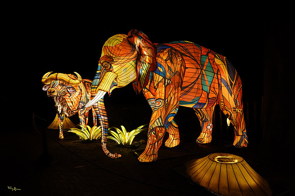 ouwehand_light_zoo_TH_0067