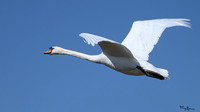 lingezegen_TH_0470