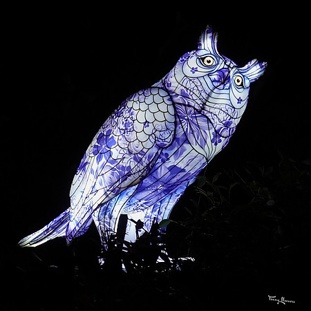 ouwehand_light_zoo_TH_0105