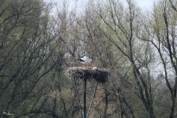 velperwaarden_TH_0496