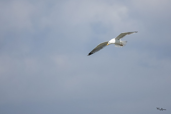 lingezegen_TH_0603
