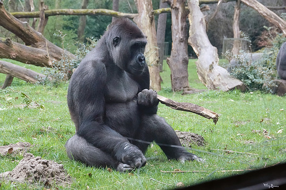 burgerszoo_TH_0496