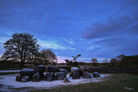 hunebed_d54_havelterberg_TH_0473