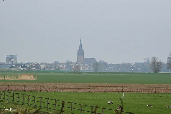 havikerwaard_TH_0506