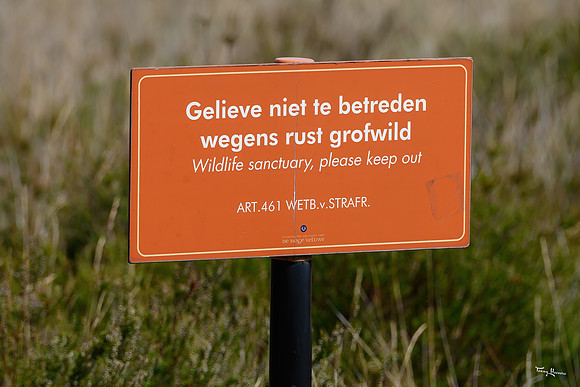 hoge_veluwe_TH_1193