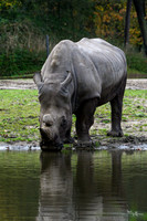 burgerszoo_TH_1204