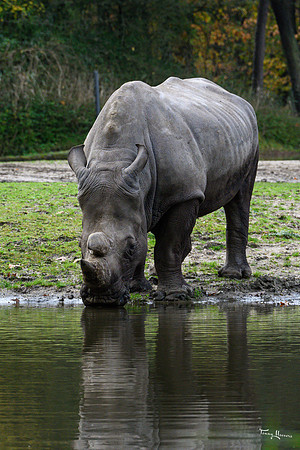 burgerszoo_TH_1204