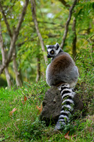 burgerszoo_TH_1210