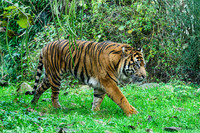 burgerszoo_TH_1209