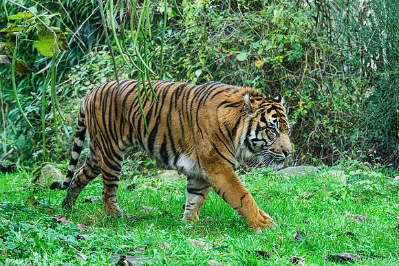 burgerszoo_TH_1209