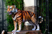 051125 - Ouwehands Dierenpark