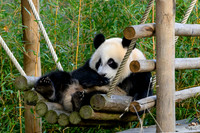 ouwehands_dierenpark_TH_1218