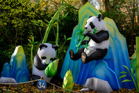 ouwehands_dierenpark_TH_1222