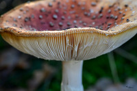 rondje_scoot_TH_1243