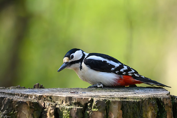 enterveenhut_TH_0539