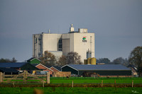 221125 - De Valk Roofvogels