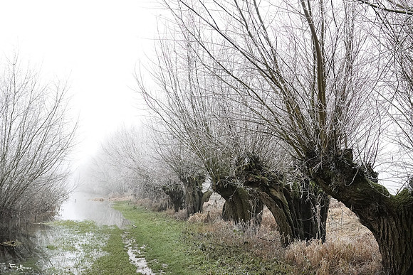 mist_omgeving_TH_0049