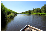 040709 - Weerribben