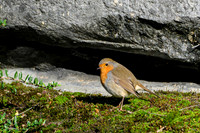burgerszoo_TH_0026
