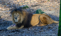 burgerszoo_TH_0035