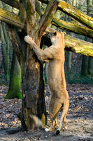 burgerszoo_TH_0036