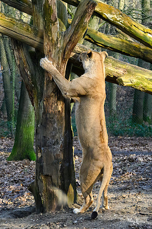burgerszoo_TH_0036