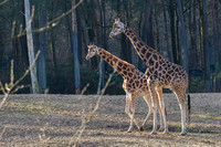 burgerszoo_TH_0038