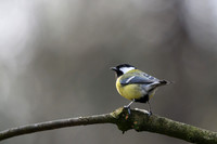 enterveenhut_TH_0081