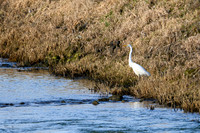 rondje_scoot_TH_0092