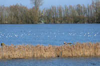 deventer_TH_0114