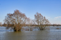 deventer_TH_0116