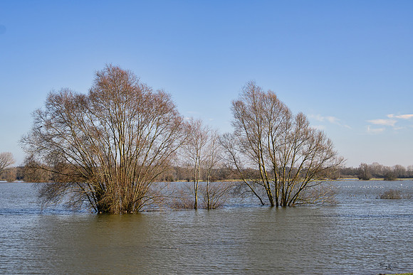 deventer_TH_0116