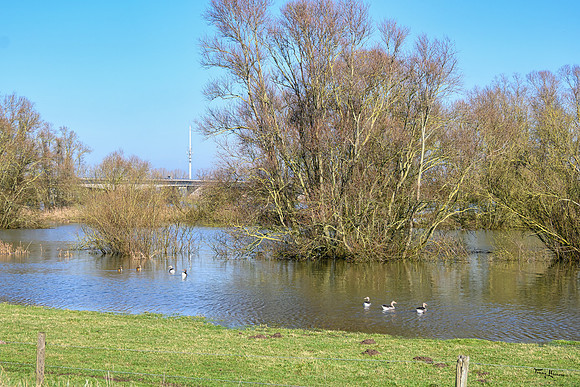 deventer_TH_0119