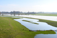 rondje_scoot_ooievaars_TH_0143