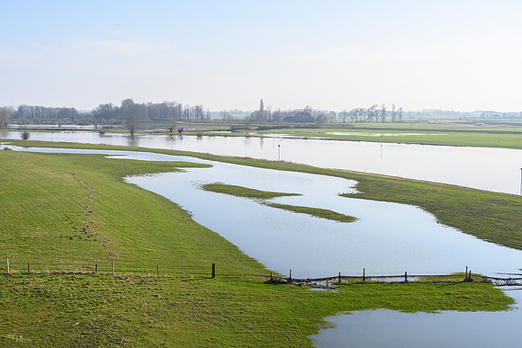 rondje_scoot_ooievaars_TH_0143