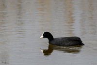 lingezegen_TH_0157