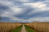 lingezegen_TH_0158