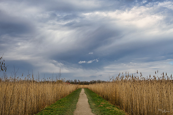 lingezegen_TH_0158