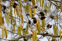 lingezegen_TH_0159