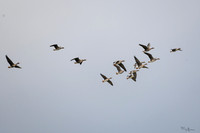 lingezegen_TH_0160