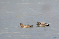 lingezegen_TH_0166