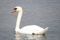 lingezegen_TH_0168