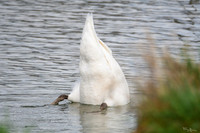 lingezegen_TH_0167
