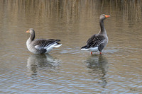 lingezegen_TH_0169