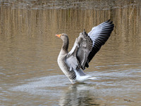 lingezegen_TH_0170