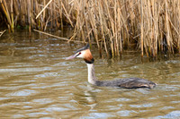 lingezegen_TH_0171
